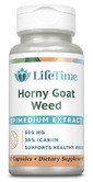 �z�[�j�[ �S�[�g �E�B�[�h 500 mg (�G�s���f�B�A�� �G�N�X�g���N�g)